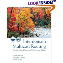 int_dom_multicast_routing